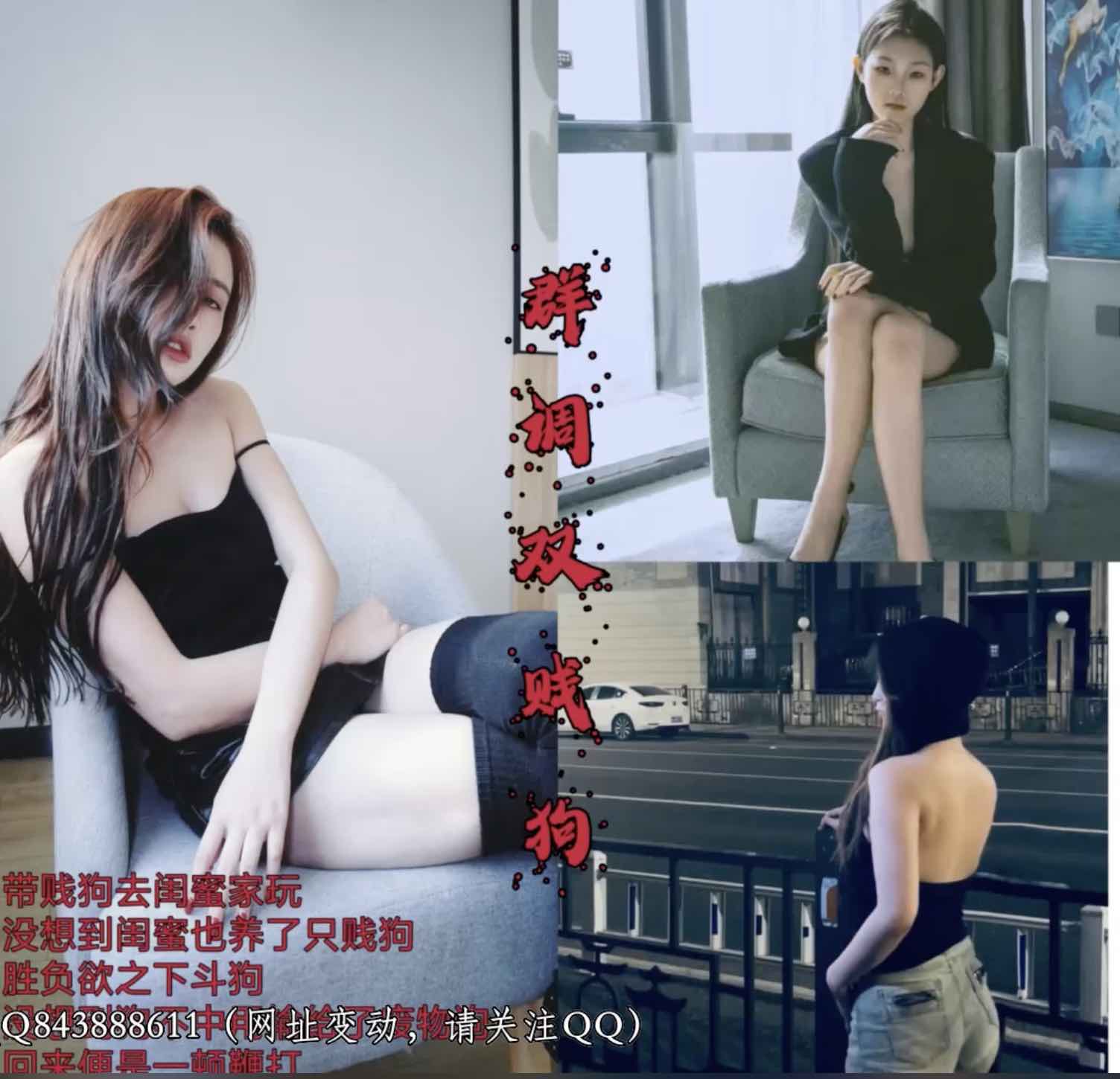 modelS-����Ű˫��